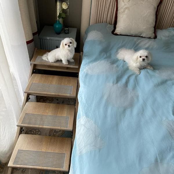 Лестница для собак на заказ
