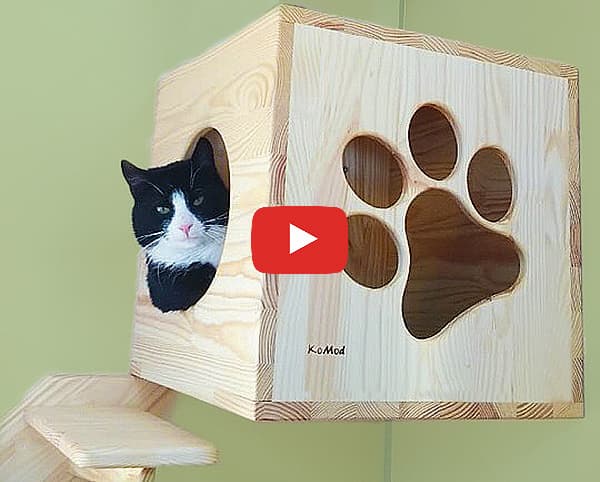 Видео игровой настенный комплекс для кошек 