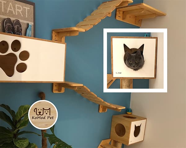 Комплекс на стену для кошек