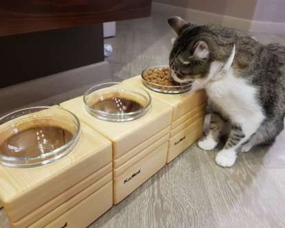 Мебель котова -миска для кота на подставке