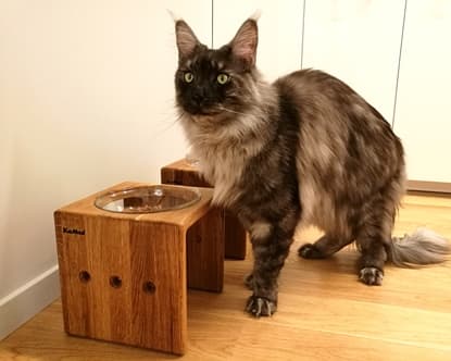 Мебель котова - кошачья миска на подставке