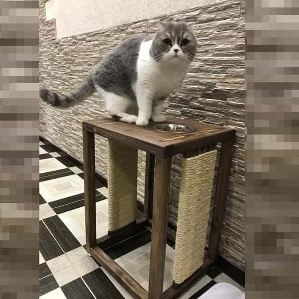 Производство мебели для кошек 