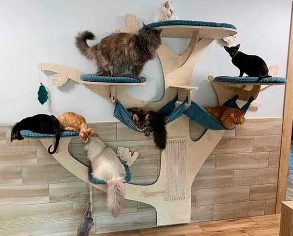 Домик для кошки из дерева
