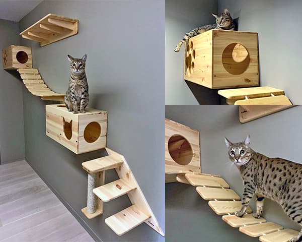 Комплексы, когтеточки домики для кошек