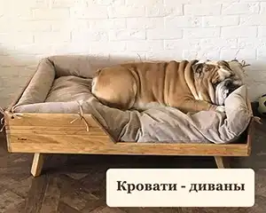Лежанки, лежаки, диваны для собак и кошек